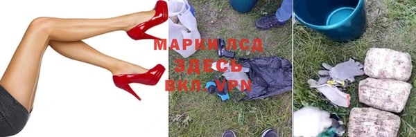 стаф Вяземский