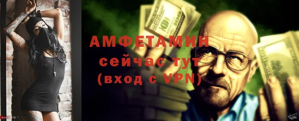 стаф Вяземский