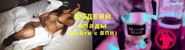 шишки Вязники