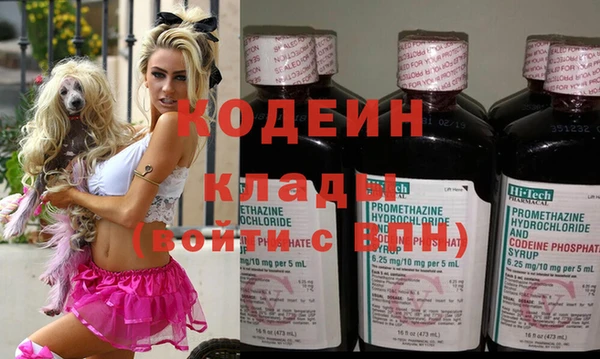 шишки Вязники