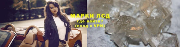 стаф Вяземский