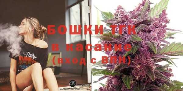 стаф Вяземский
