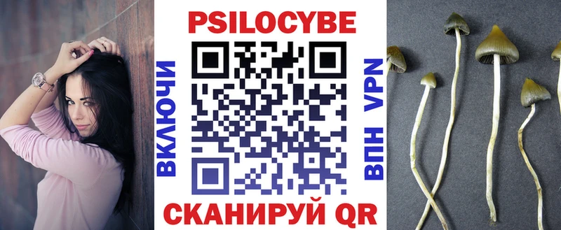 Галлюциногенные грибы мицелий закладки Курган